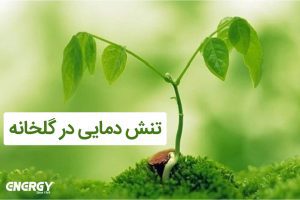 تنش دمایی در گلخانه