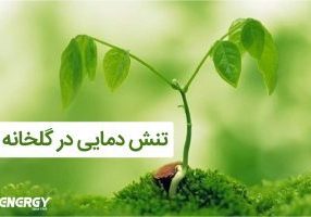 تنش دمایی در گلخانه