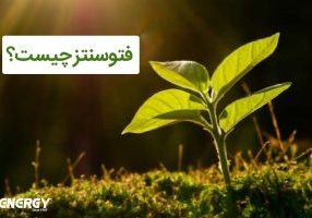 فتوسنتز چیست؟